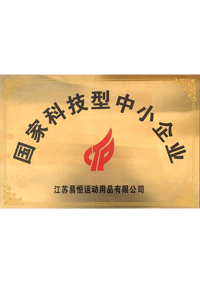 国家科技型中小企业