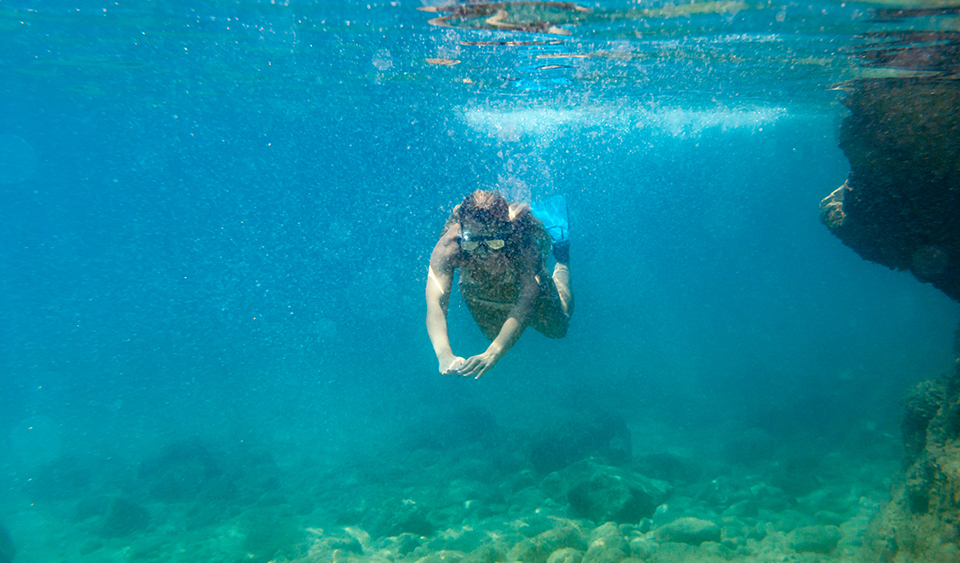 Snorkeling & Tourism Solution